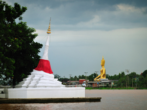 Image 15